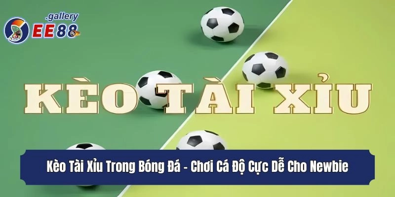 Kèo Tài Xỉu Trong Bóng Đá - Chơi Cá Độ Cực Dễ Cho Newbie